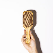 Bambu mediano (BU-009)