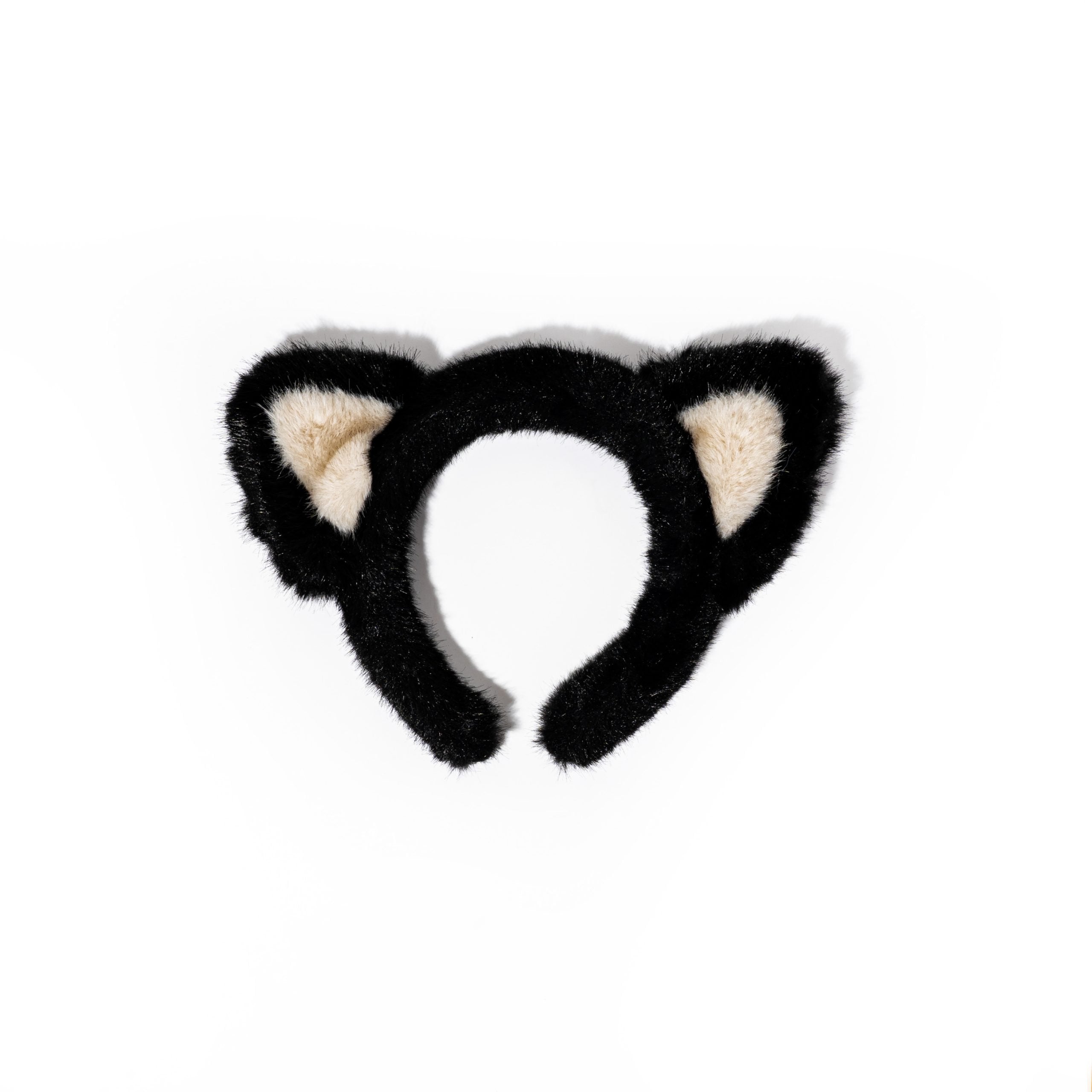 Diadema gato (fig244c)