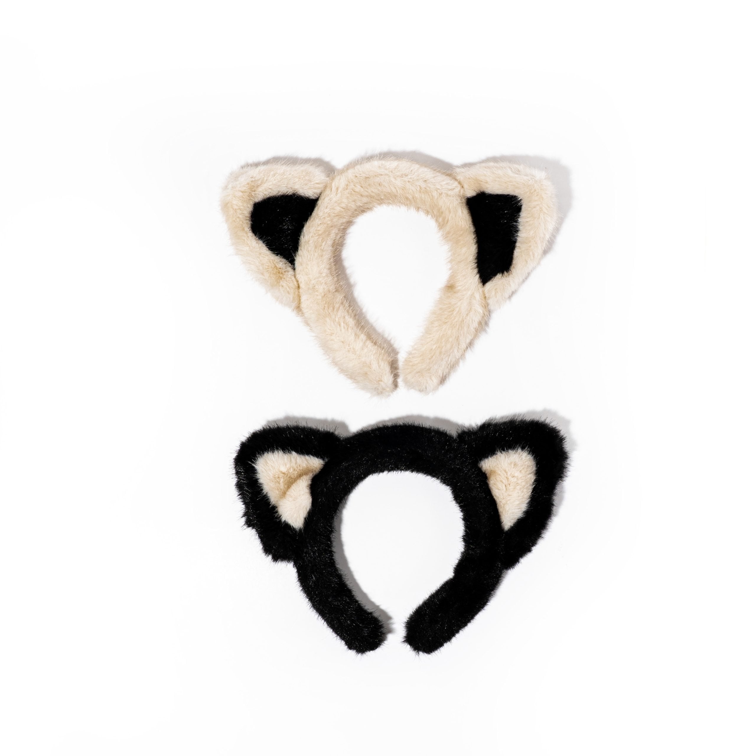 Diadema gato (fig244c)
