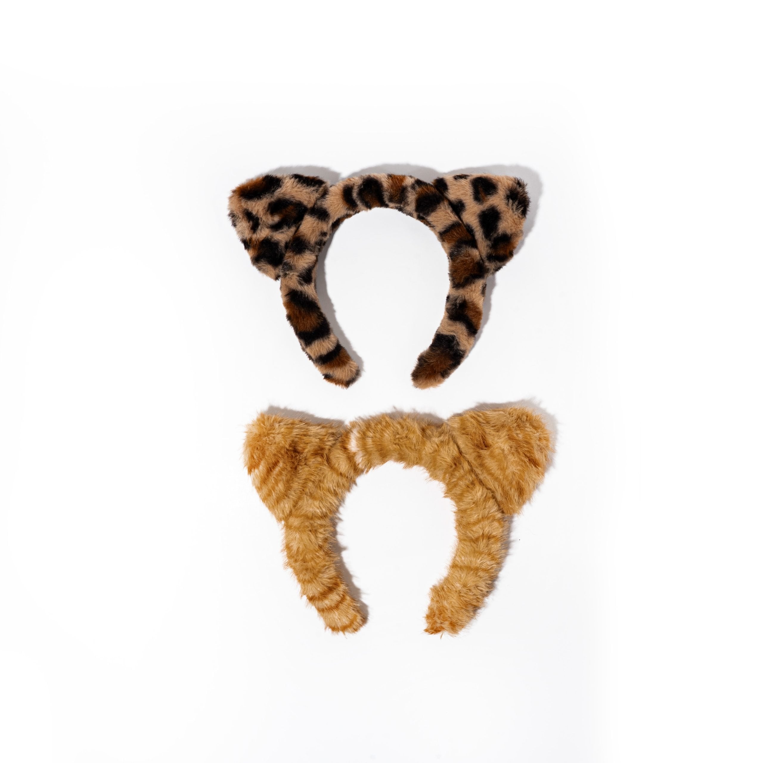 Diadema felino (fig244b)