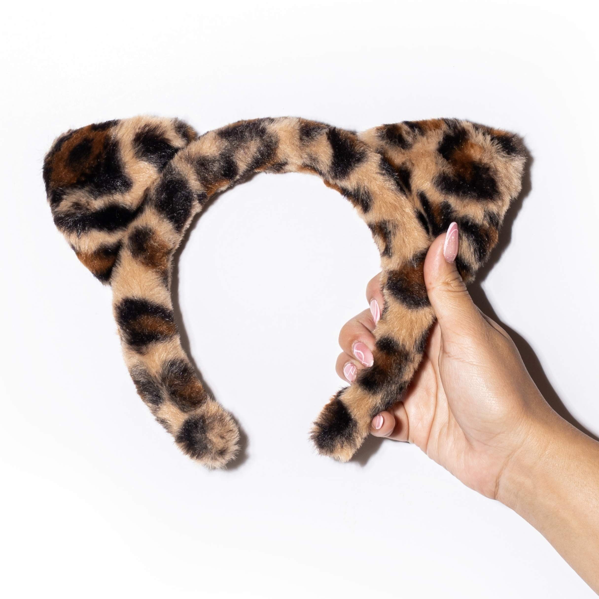 Diadema felina (fig244b)
