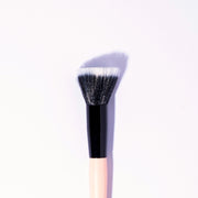 Brocha profesional (PRO-718)