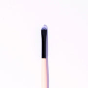 Brocha profesional (pro-717)