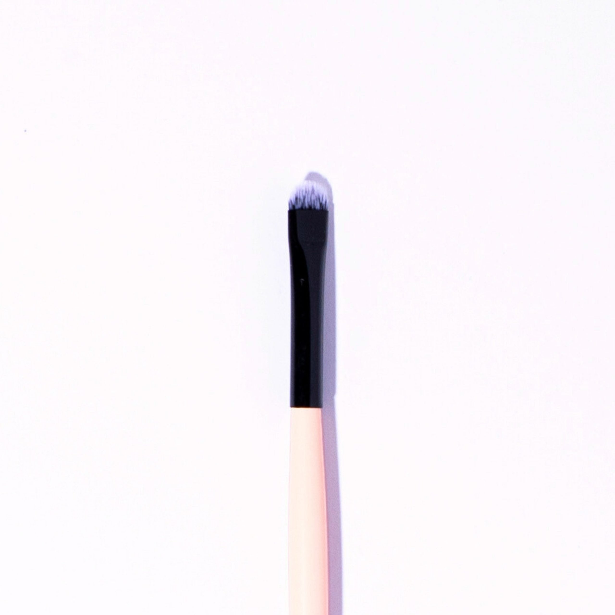Brocha profesional (pro-717)